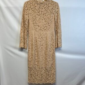 NWT Metisu Golden Brown Split Cuff Bodycon Lace Midi Dress S